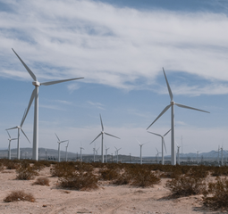 EarthValue Solutions