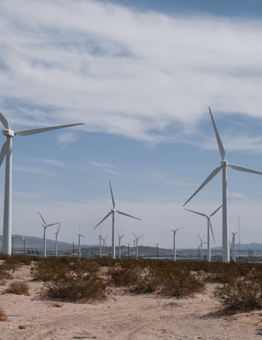 EarthValue Solutions