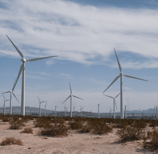 EarthValue Solutions