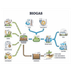 EarthValue Solutions