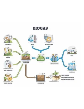 EarthValue Solutions