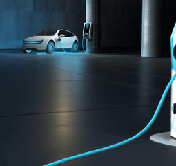 EarthValue Solutions