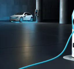 EarthValue Solutions